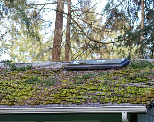 Have Nationwide Roofing & Contractors inspect your moss covered roof